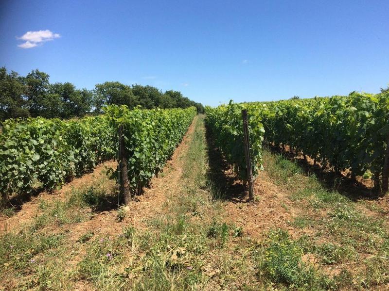 Terrain agricole - 27 000 m²