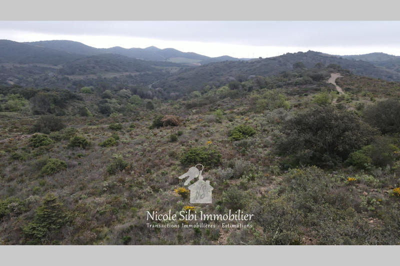 Terrain - 25 575 m²