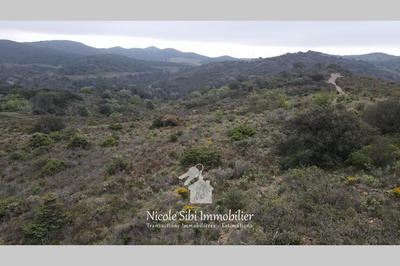 Terrain - 25 575 m²