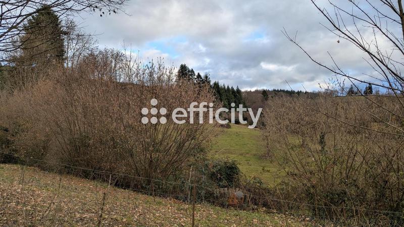 Maison - 92 m² - 6 pièces