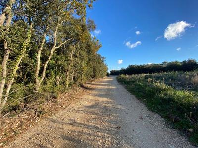 Terrain agricole - 7 770 m²