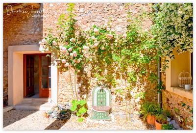 Maison en pierre - 166 m² - 5 pièces