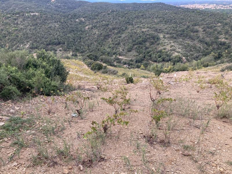 Terrain agricole - 10 846 m²