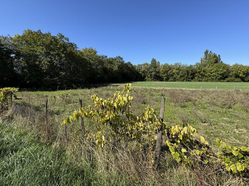 Maison ancienne - 110 m² - 5 pièces