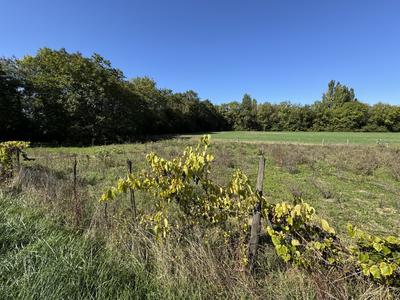 Maison ancienne - 110 m² - 5 pièces