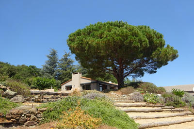 Villa - 235 m² - 7 pièces