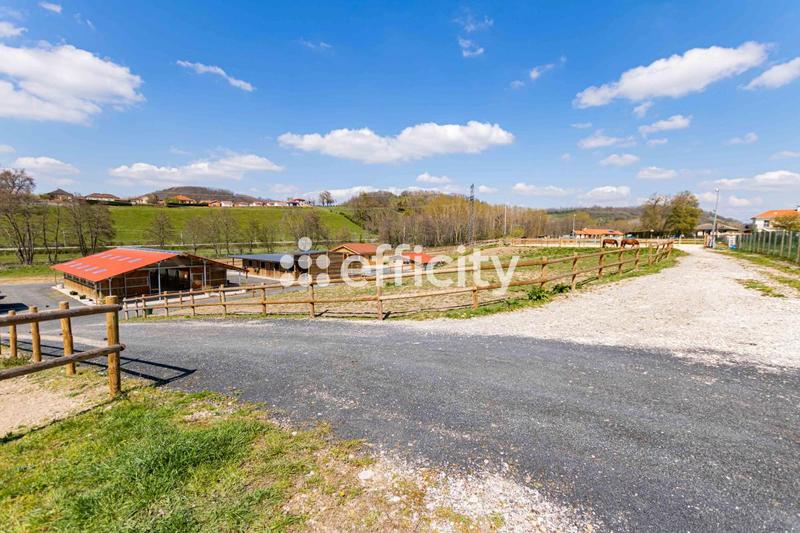 Bureau - 55 m² - 3 pièces