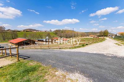 Bureau - 55 m² - 3 pièces