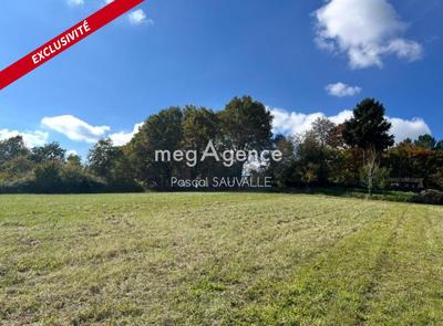 Terrain constructible - 5 000 m²