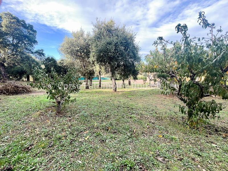 Terrain de loisirs - 1 020 m²