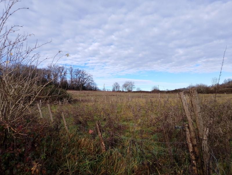 Maison - 213 m² - 7 pièces