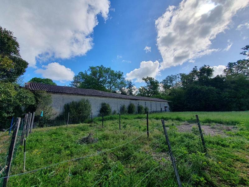 Immeuble - 2 620 m²