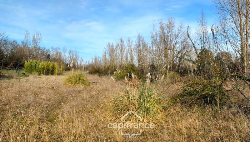 Terrain constructible - 5 000 m²
