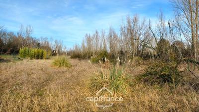 Terrain constructible - 5 000 m²