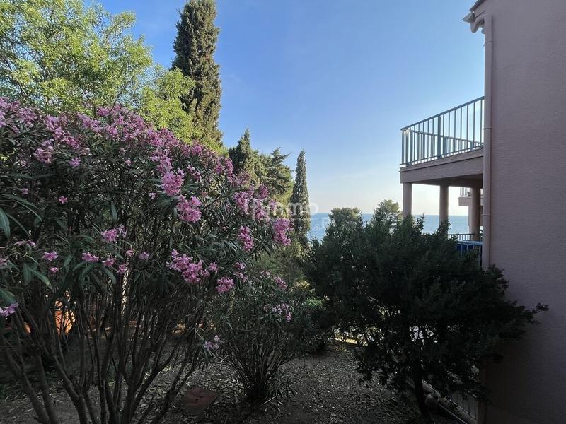 Appartement - 34 m² - 2 pièces