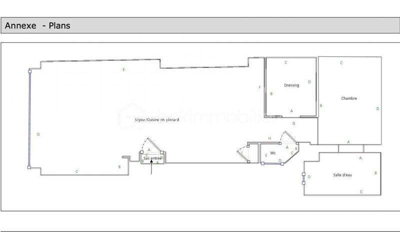 Loft - 66 m² - 2 pièces