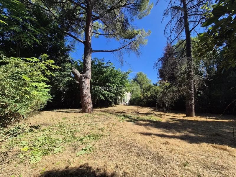 Maison - 200 m² - 7 pièces