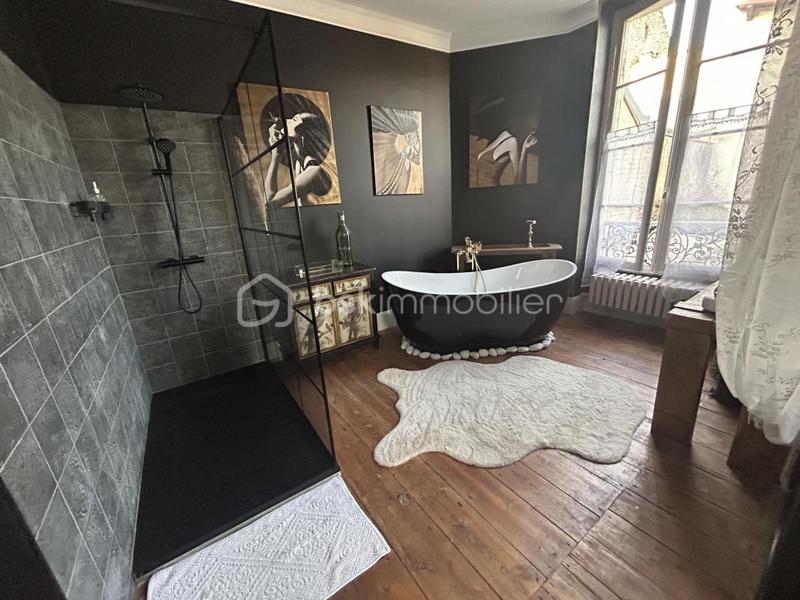 Hôtel particulier - 308 m² - 9 pièces