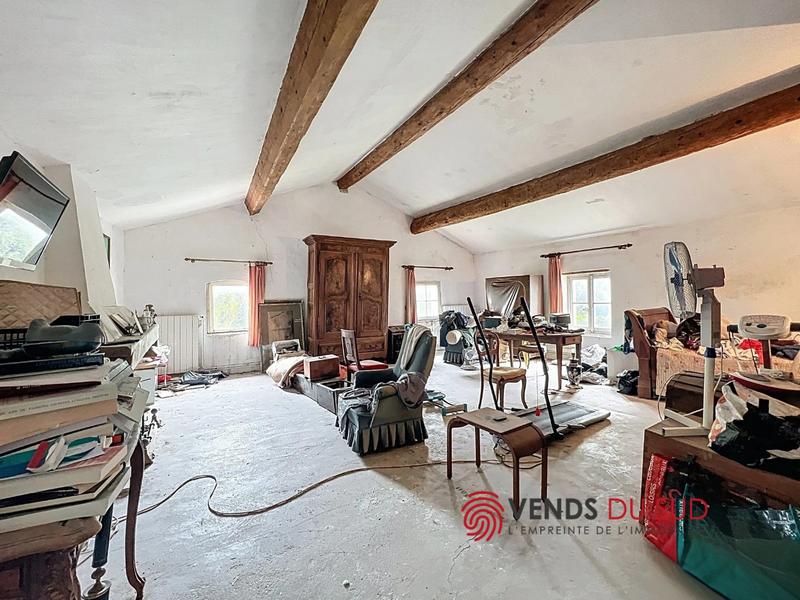 Viager - Demeure - 223 m² - 6 pièces