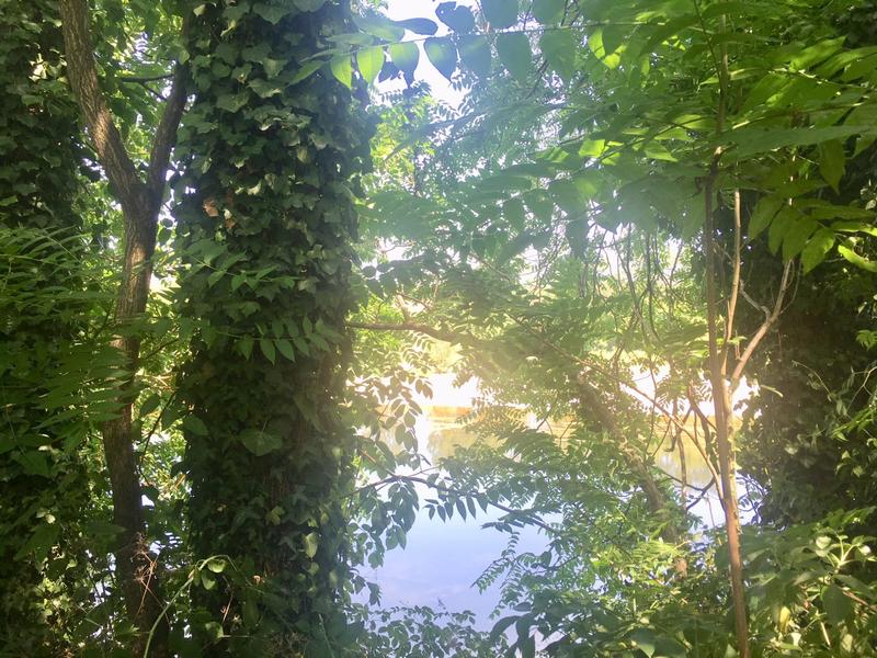 Maison traditionnelle - 517 m² - 10 pièces