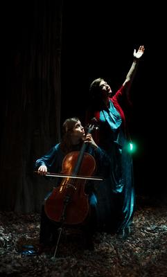 Saison Culturelle &gt; Concert &quot;Birds on a Wire&quot;