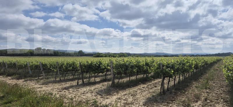 Terrain - 190 000 m²