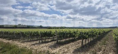 Terrain - 190 000 m²