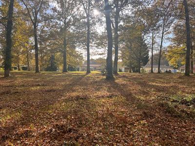 Terrain constructible - 3 600 m²