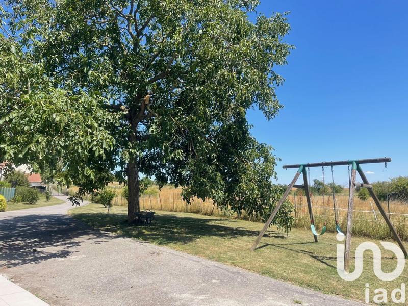 Maison - 215 m² - 7 pièces