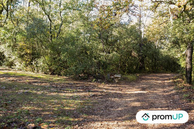 Terrain agricole - 9 625 m²