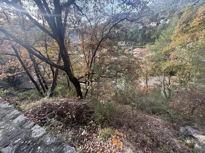 Terrain constructible - 1 600 m²