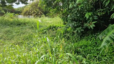 Terrain constructible - 800 m²