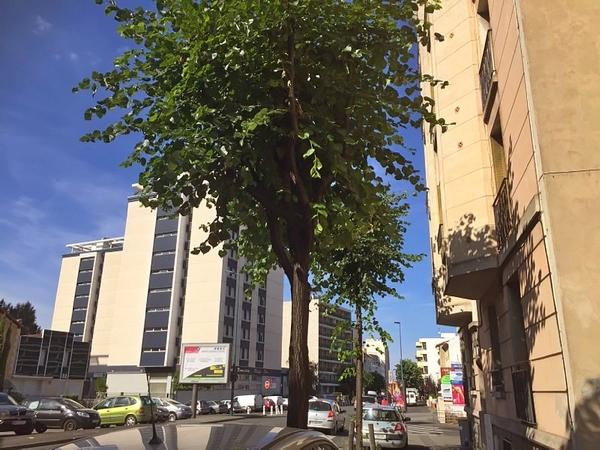 Appartement - 72 m² - 3 pièces