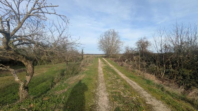 Maison de village - 110 m² - 6 pièces