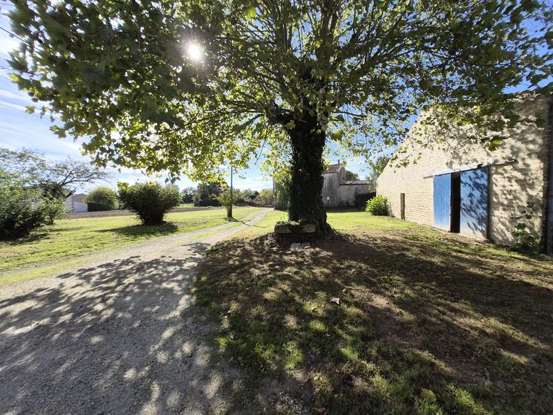 Maison ancienne - 315 m² - 13 pièces