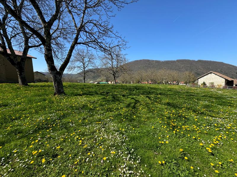 Terrain constructible - 836 m²