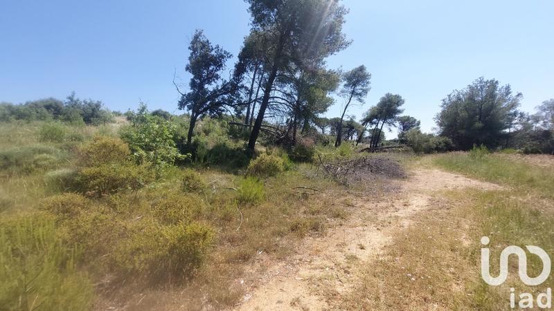 Terrain agricole - 4 860 m²