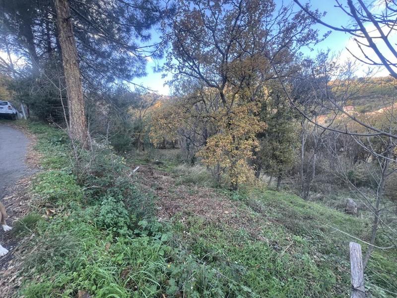 Terrain constructible - 2 000 m²