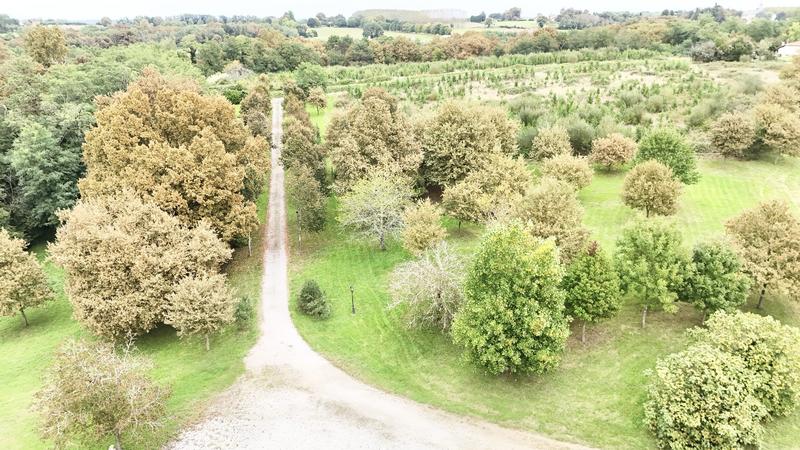 Propriété - 300 m² - 8 pièces