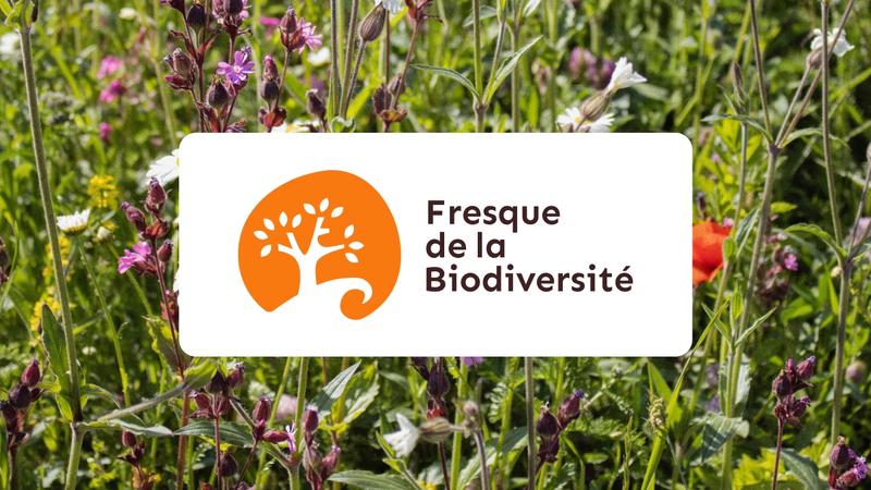 Fresque de la biodiversité
