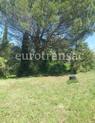 Terrain agricole - 11 480 m²