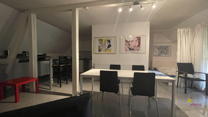 Maison ancienne - 378 m² - 15 pièces