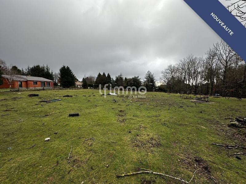 Terrain - 2 931 m²