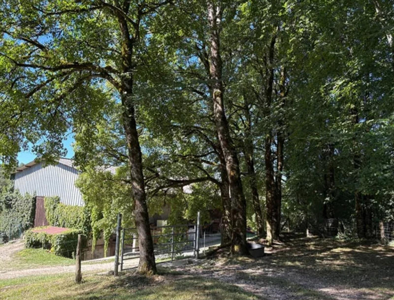 Maison - 245 m² - 12 pièces