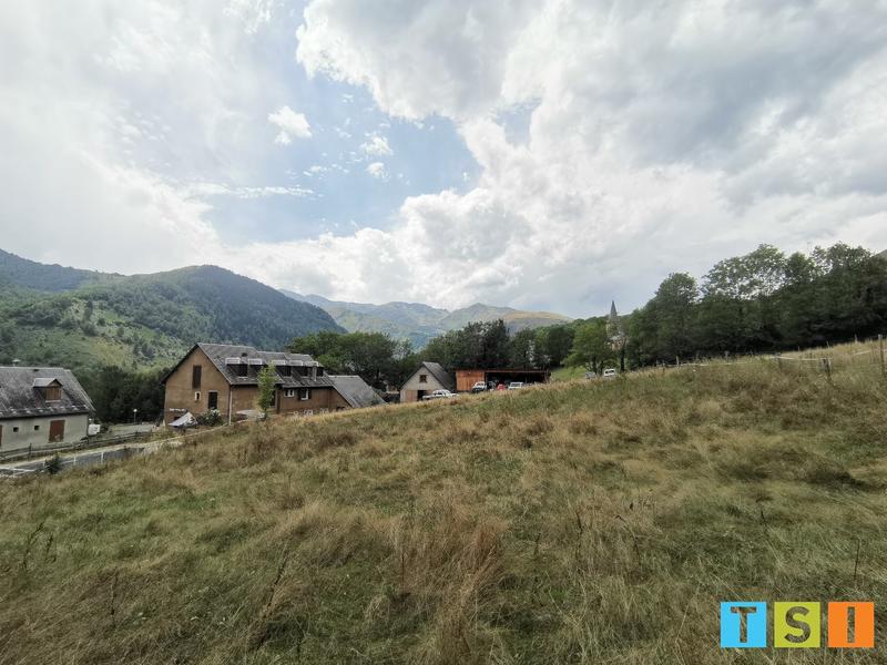 Terrain - 1 239 m²