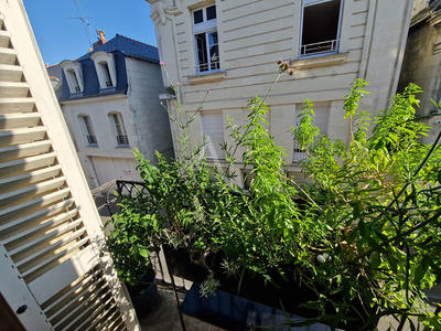 Appartement - 52 m² - 2 pièces