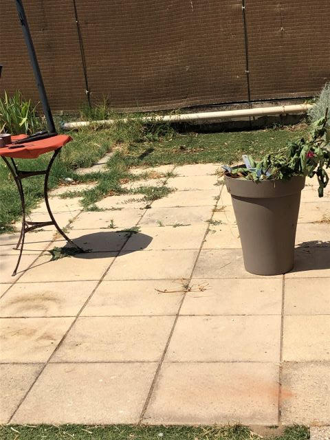 Appartement - 32 m² - 2 pièces