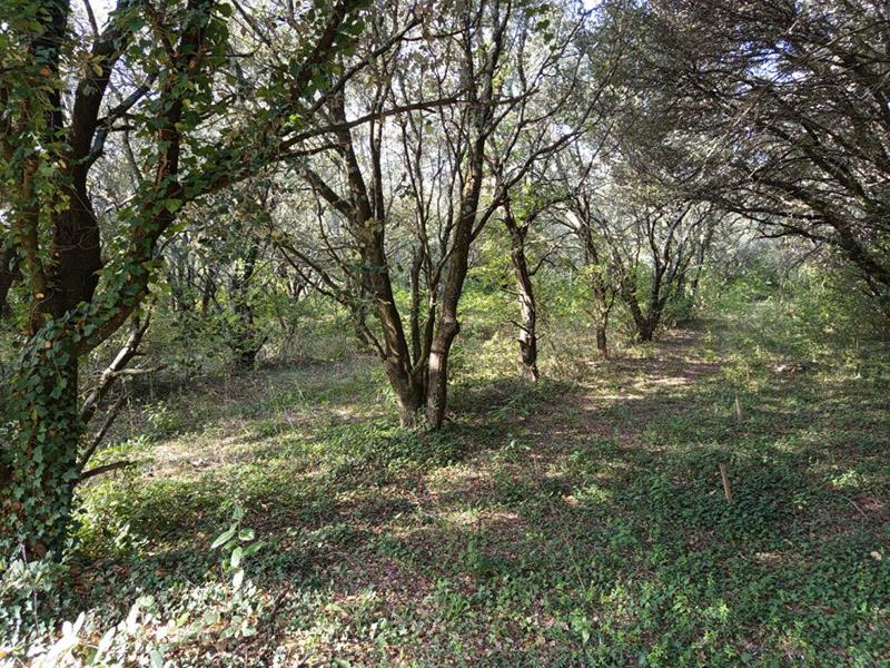 Corps de ferme - 370 m² - 10 pièces