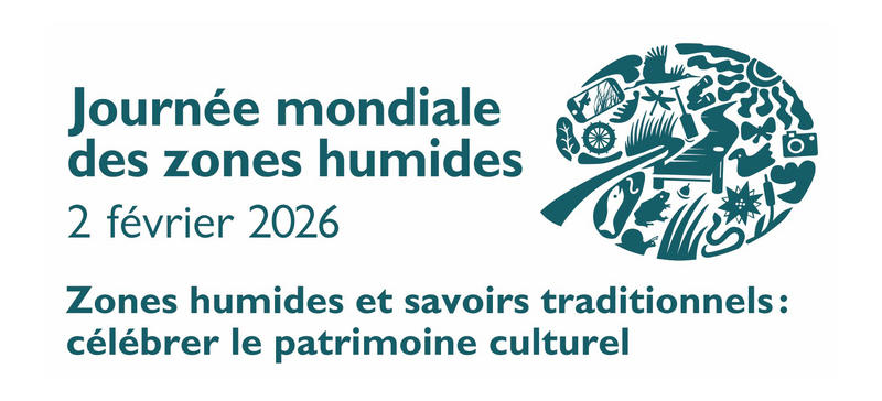 Plongez au cœur des zones humides d’Izadia