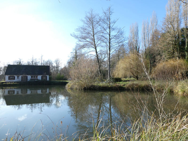 Maison - 138 m² - 5 pièces